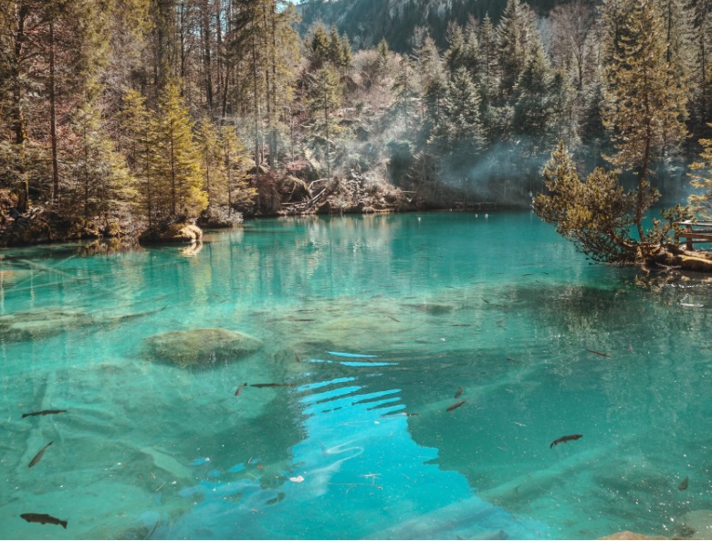 1655954091654944.jpg 4.jpg